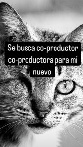 Imagen de gato con texto de se busca co-productor